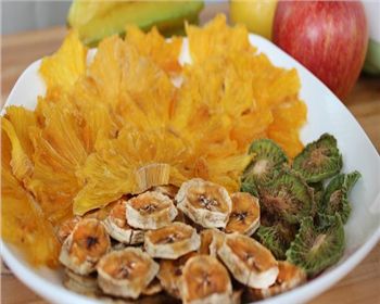 四川果蔬烘干機故障處理方法有哪些？?